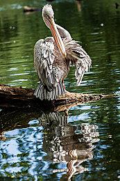 异世相逢！永劫无间X尼尔系列联动开启，愿人类荣光永存！